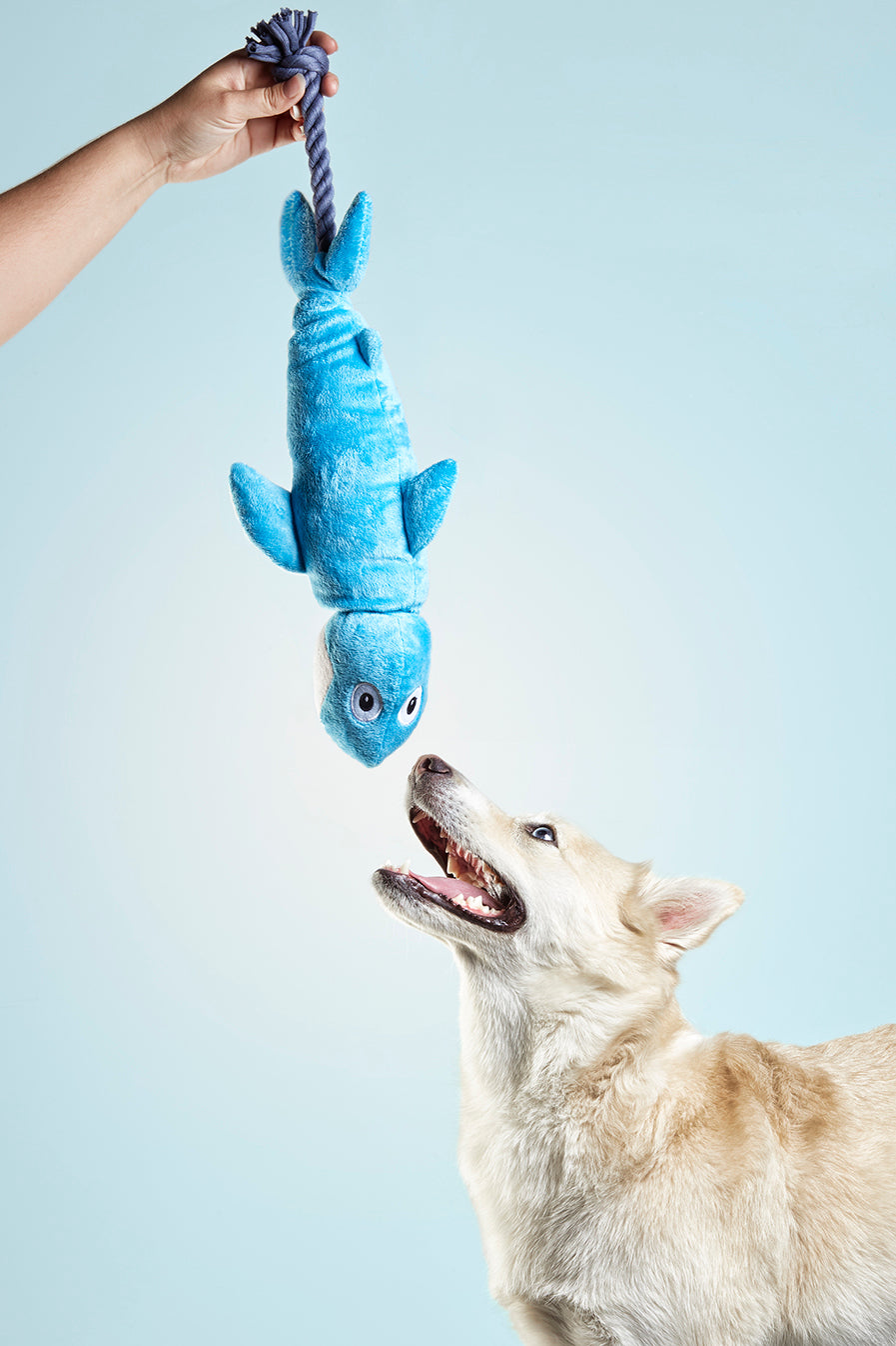 Jucarie de plus pentru caini Gloria Clint folosita la joaca interactiva de tip tras