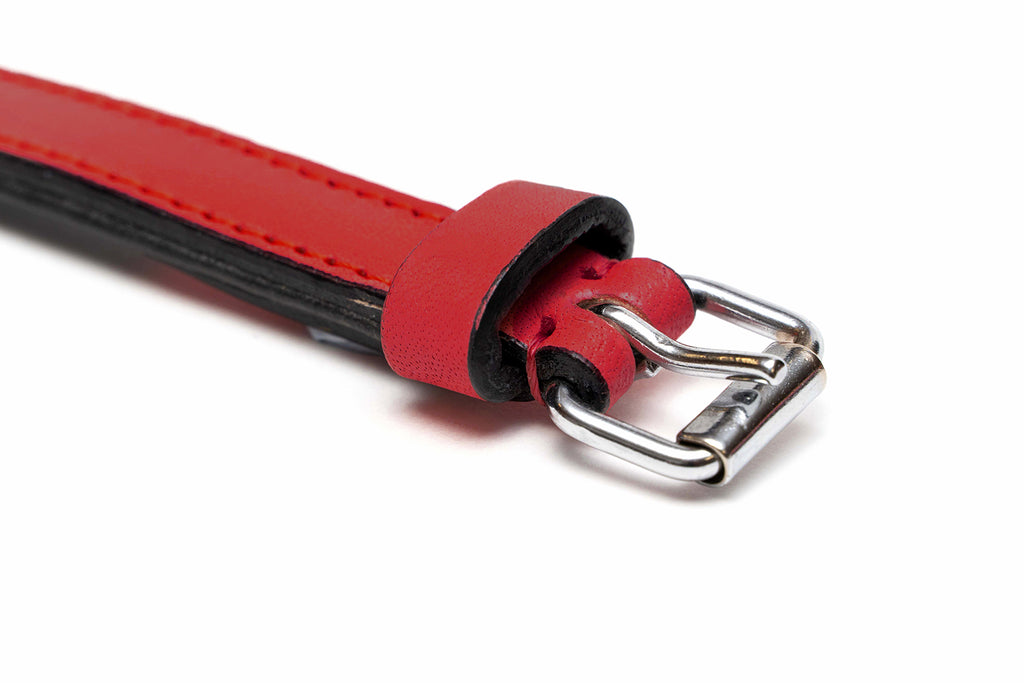 Detaliu cataramă metalică zgardă din piele căptușită Gloria