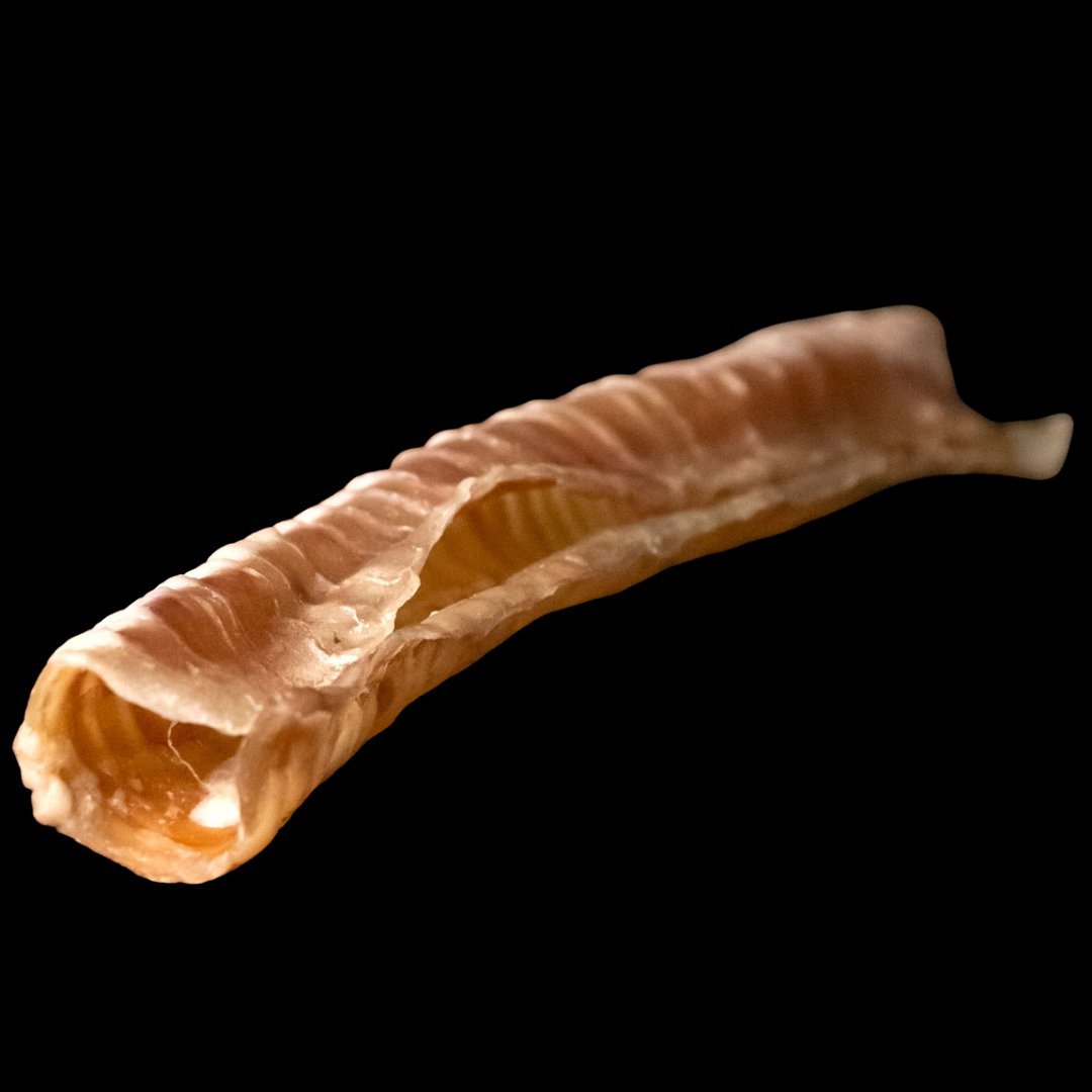 SNACK NATURAL | Trahee de Vitel